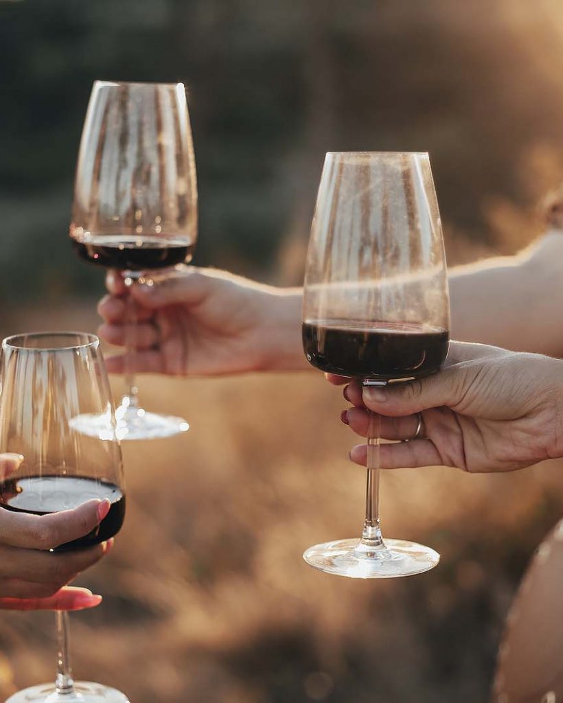 Crop Anonymous Female Friends Toasting With Glasses Of Red Wine